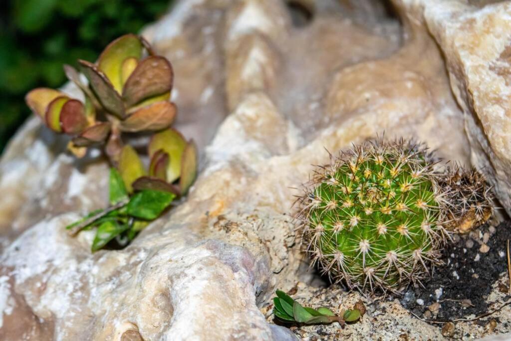 Istron Avra Daire Kalo Chorio  Dış mekan fotoğraf